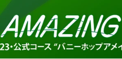 ロゴに描かれているのが、カルーセルチェンジャー？